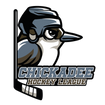 Chickadee Hockey League
