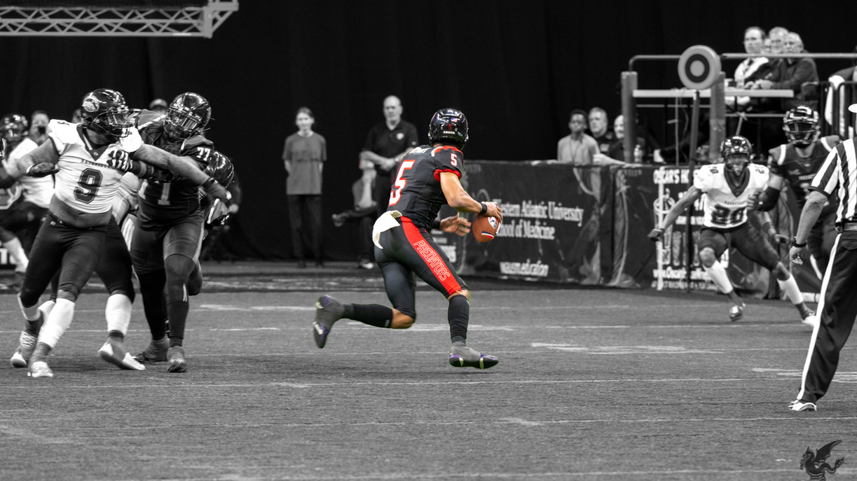 News: January 31 Transactions Update - Arena Football One