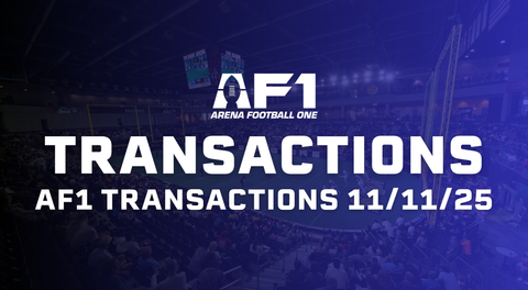 AF1 Daily Transactions - November 11th, 2025