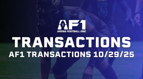 AF1 Daily Transactions - October 29th, 2025