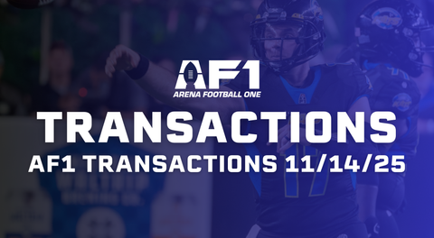 AF1 Daily Transactions - November 14th, 2025