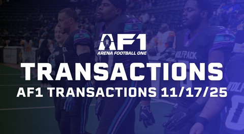 AF1 Daily Transactions - November 17th, 2025