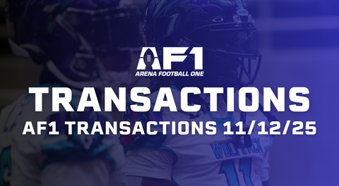AF1 Daily Transactions - November 12th, 2025