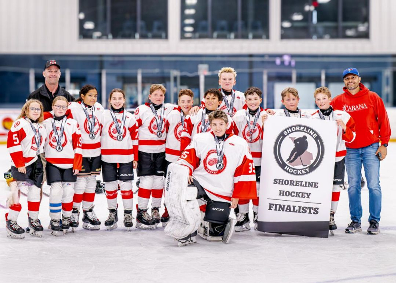 All Star Red Wings