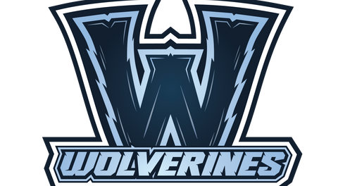 Wolverines 2026-27 Try Out Information