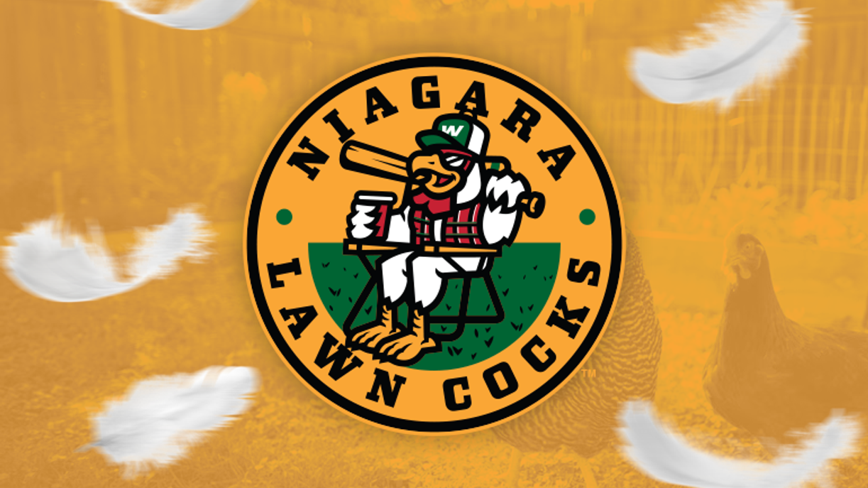 1743474081-1223.png