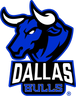 Dallas Bulls