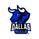 Dallas Bulls