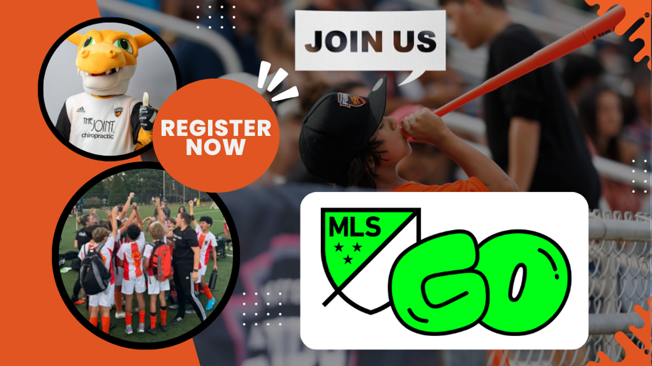 MLS Go Website Image