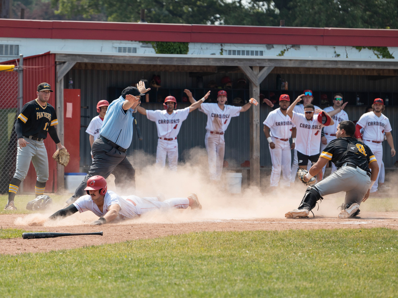 Photos Sunday June 18 vs Kitchener Panthers (Father's Day) Hamilton