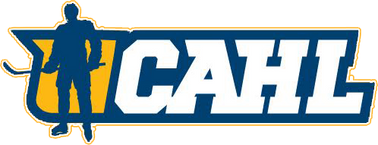 All Seasons Ice Rinks