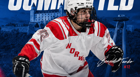 Bratislava Capitals Add Hungarian Forward Benedek Tanko for 2026–27 Season