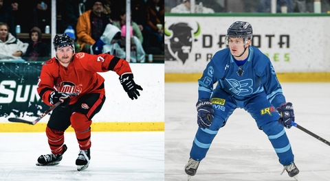 PLAYOFFS SEMI FINALS CONFIRMED - BARRACUDAS V VIPERS MATCHUP