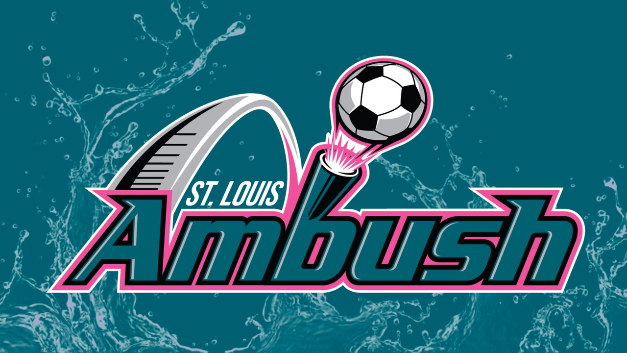 our-partners-st-louis-ambush