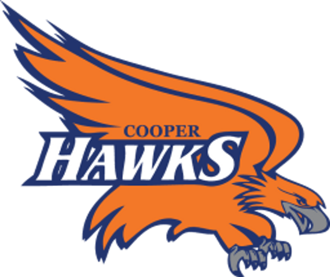 Cooper Hawks