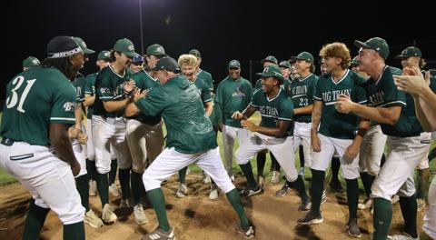 Big Train Names 2025 Pitcher Awards